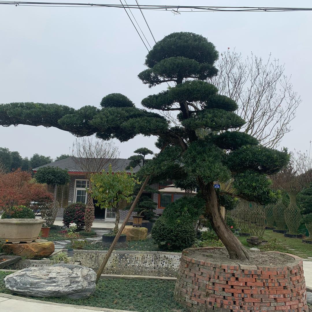 温江区大班园艺场