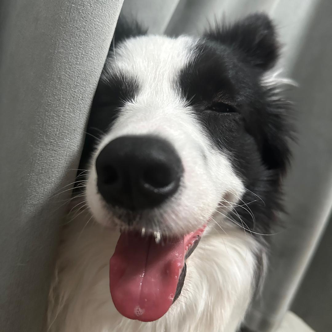 琪琪琪琪琪