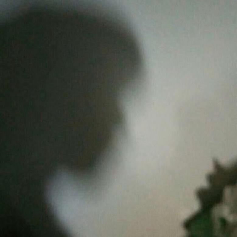 茶白NINI