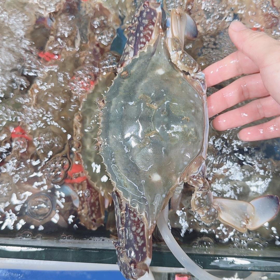 车记海鲜小时达