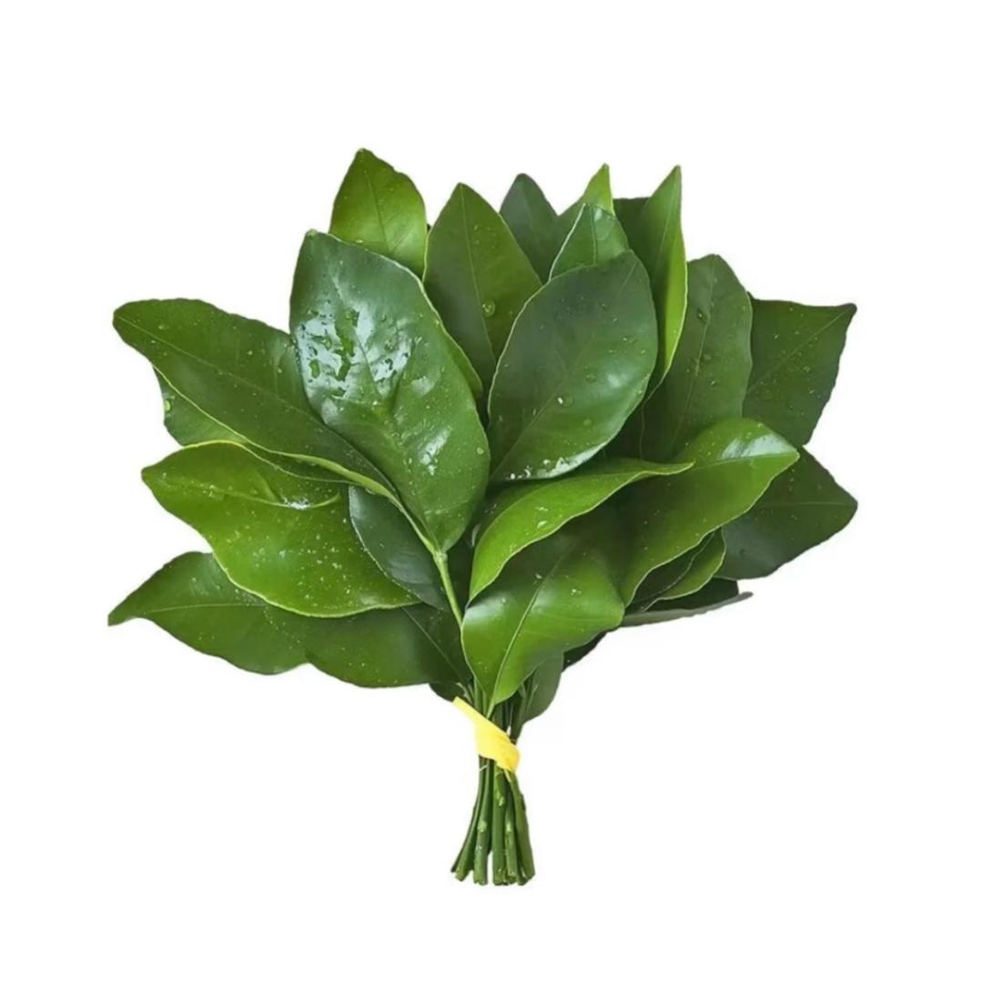 阿鹿超会买