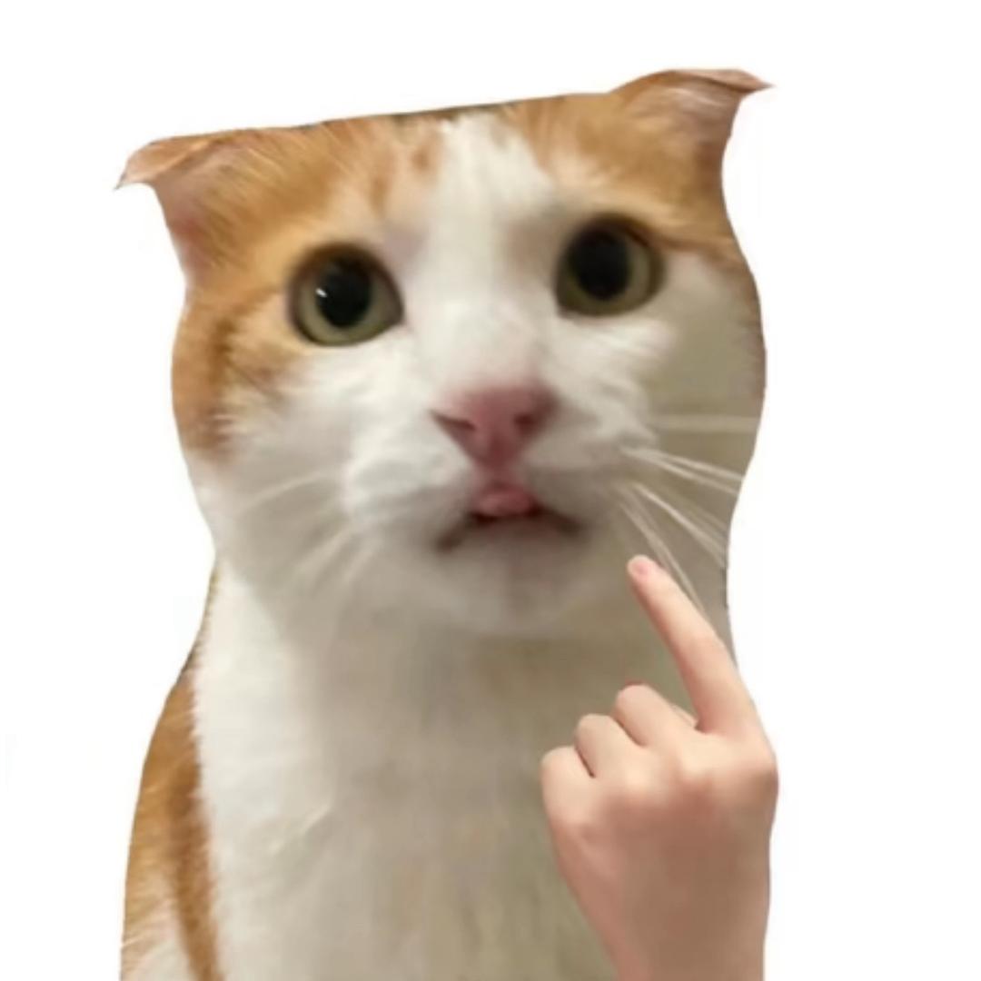 暴躁性感大母猴