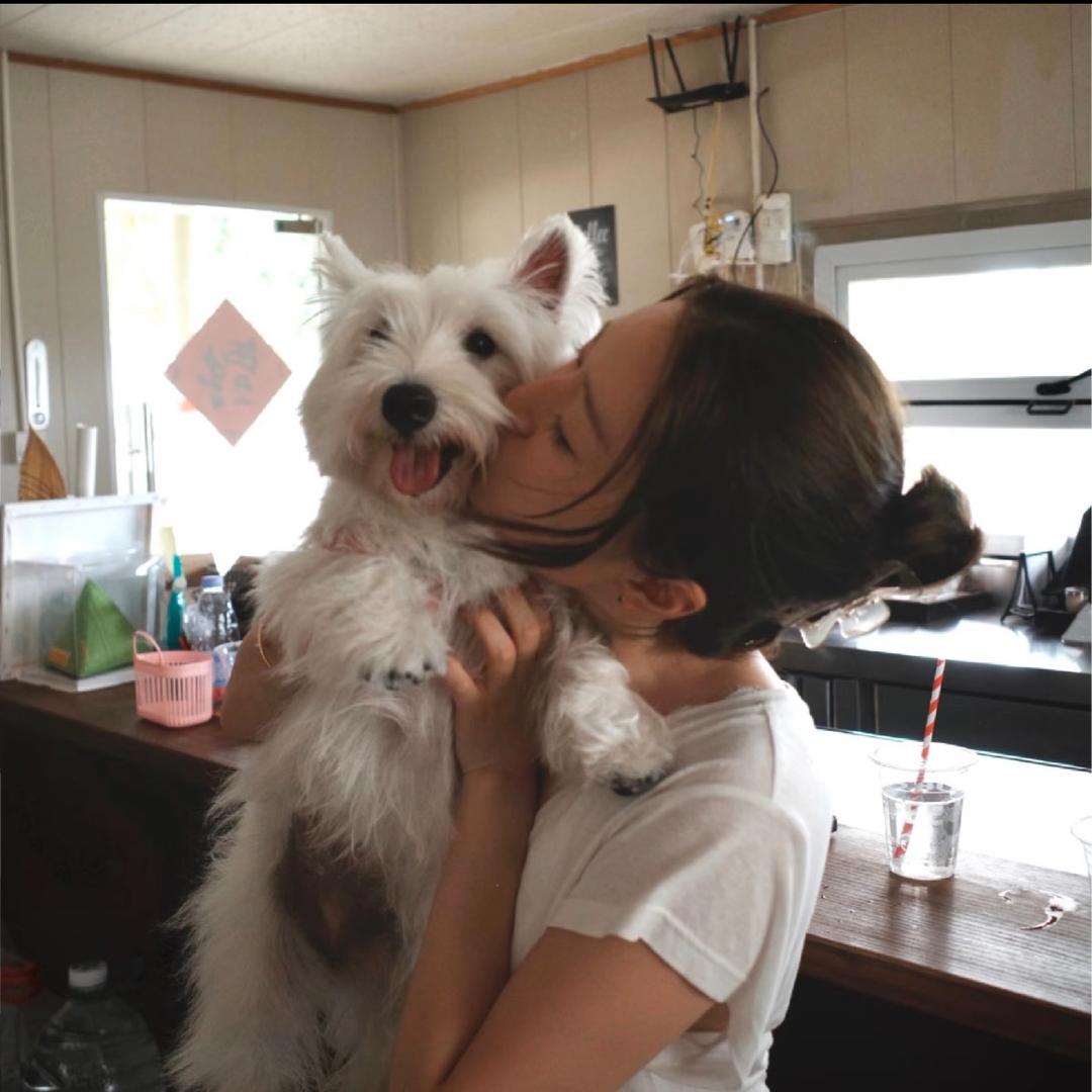 北秋北