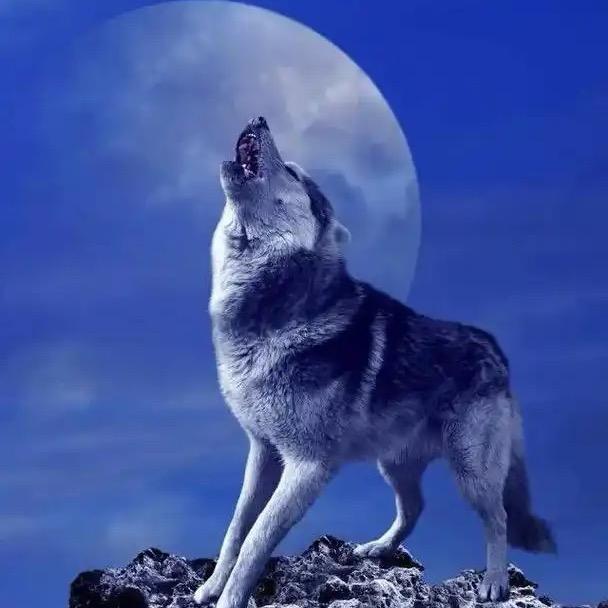 岁月就是一把无情的杀猪刀