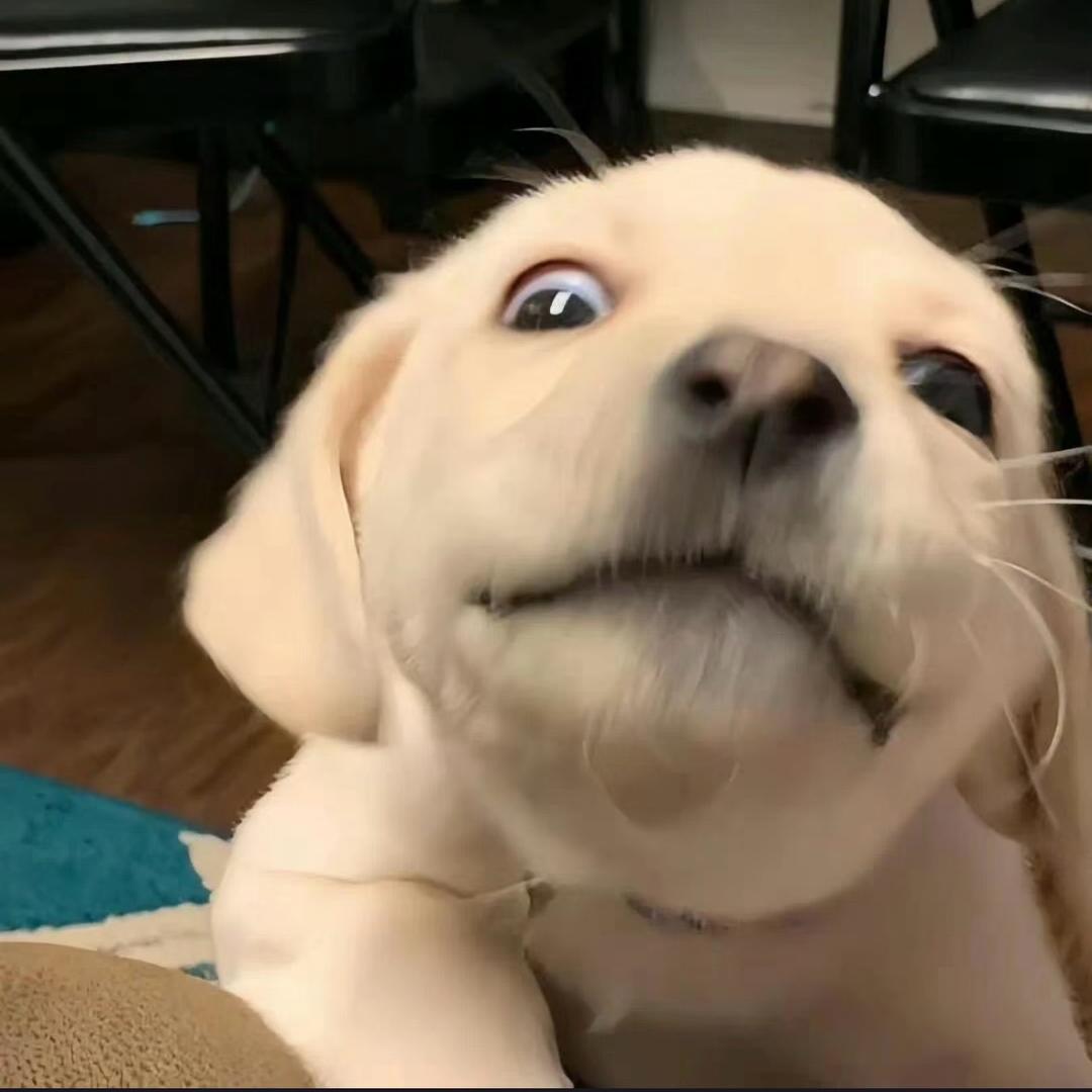 李先生。