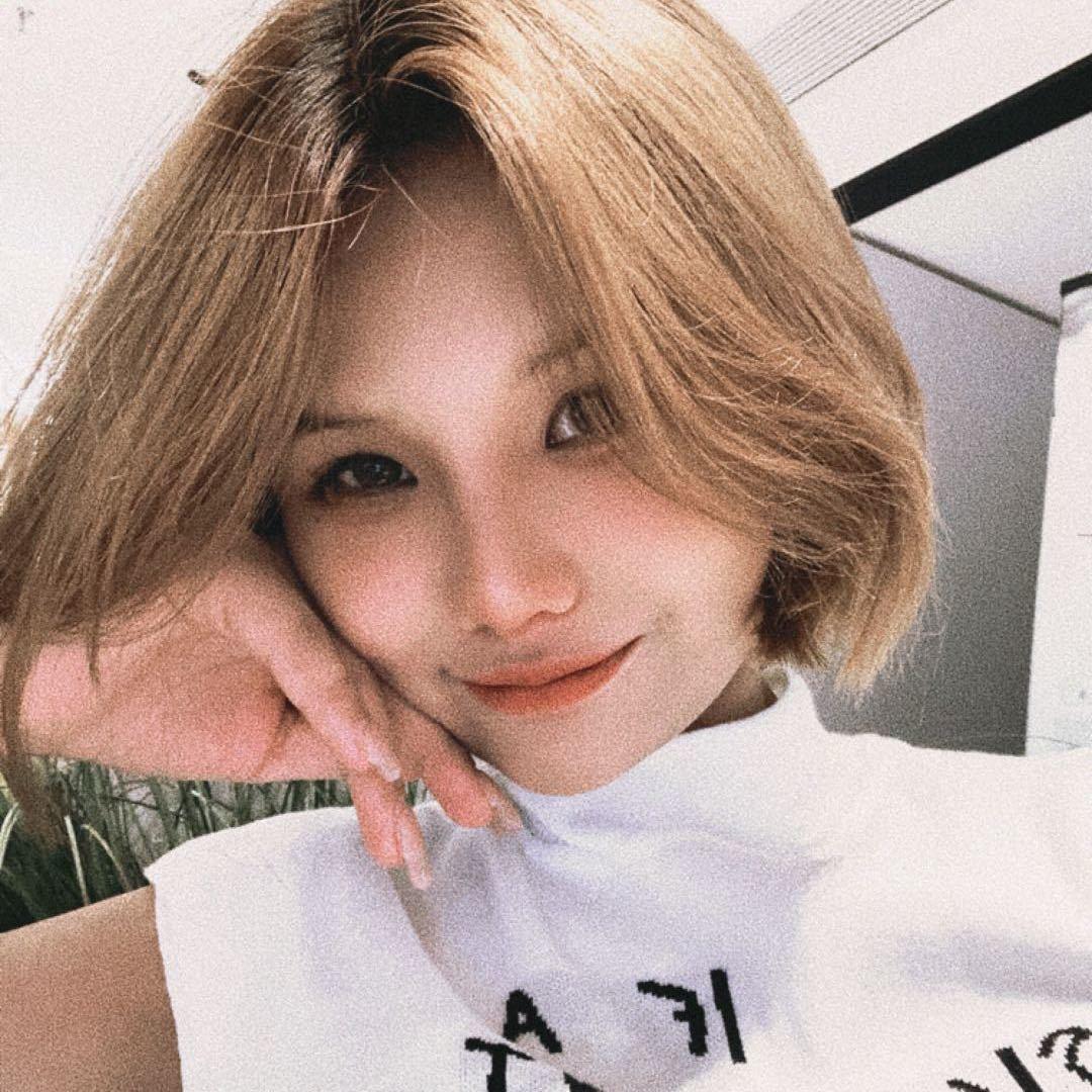 爱剪头发的土豆饼