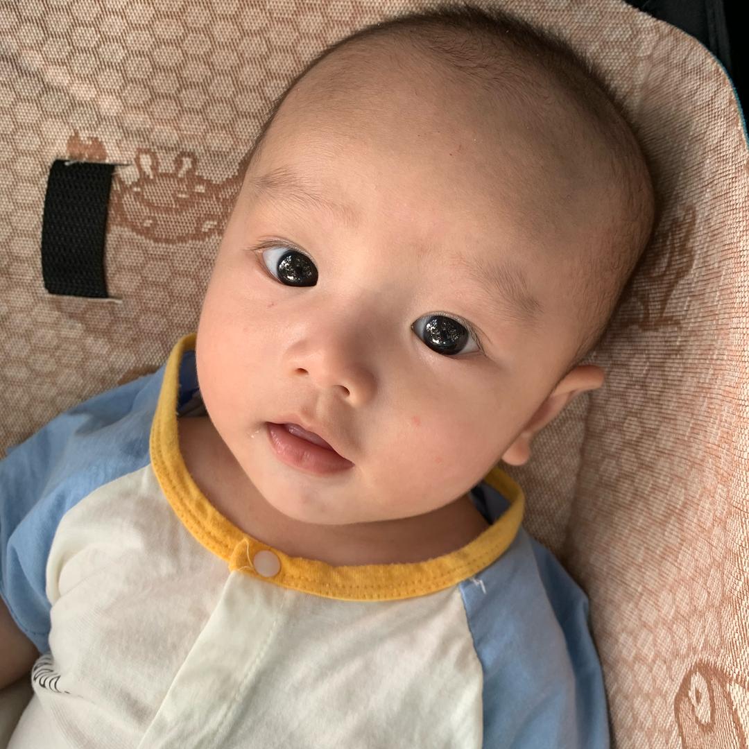 好来