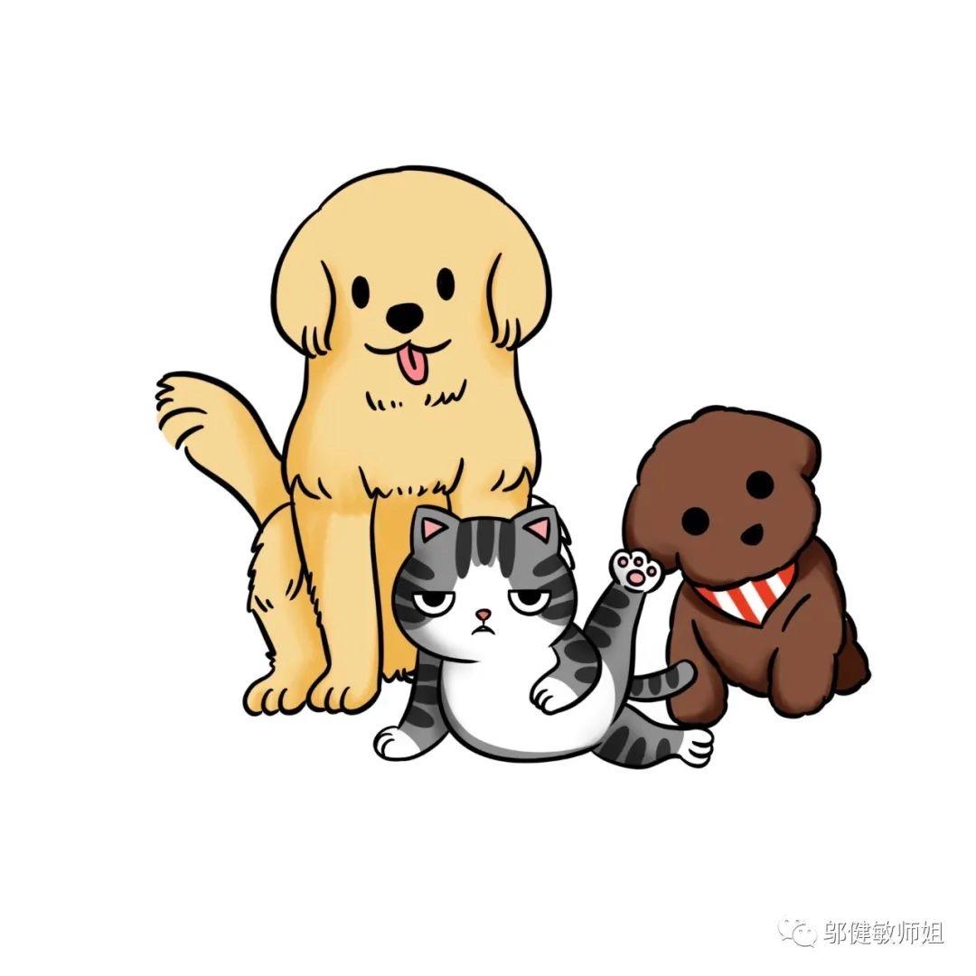 莫柯MOCO宠物店