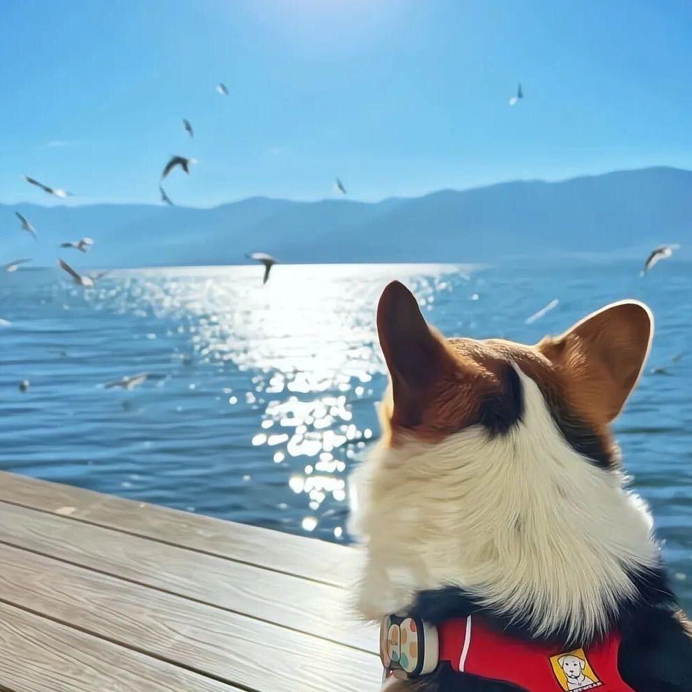 🍒🍇🍓🍉🍎🥝