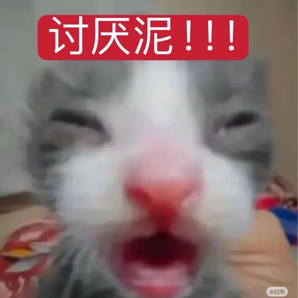 硫酸铜章鱼