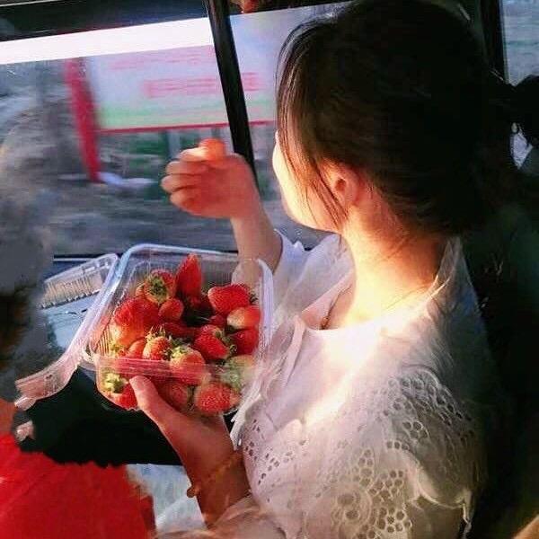 娇子🍓