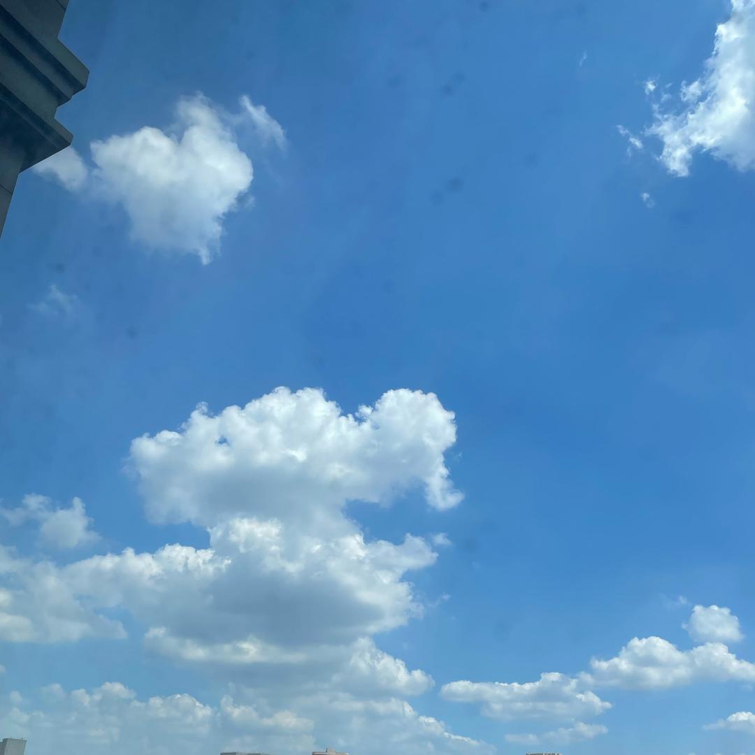 🧚‍♀️