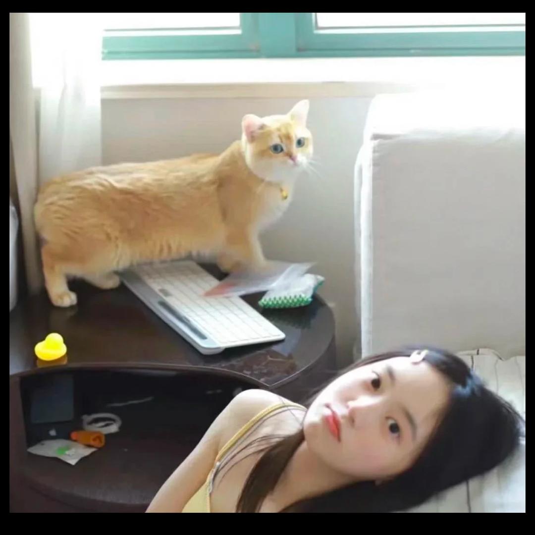 糊宝