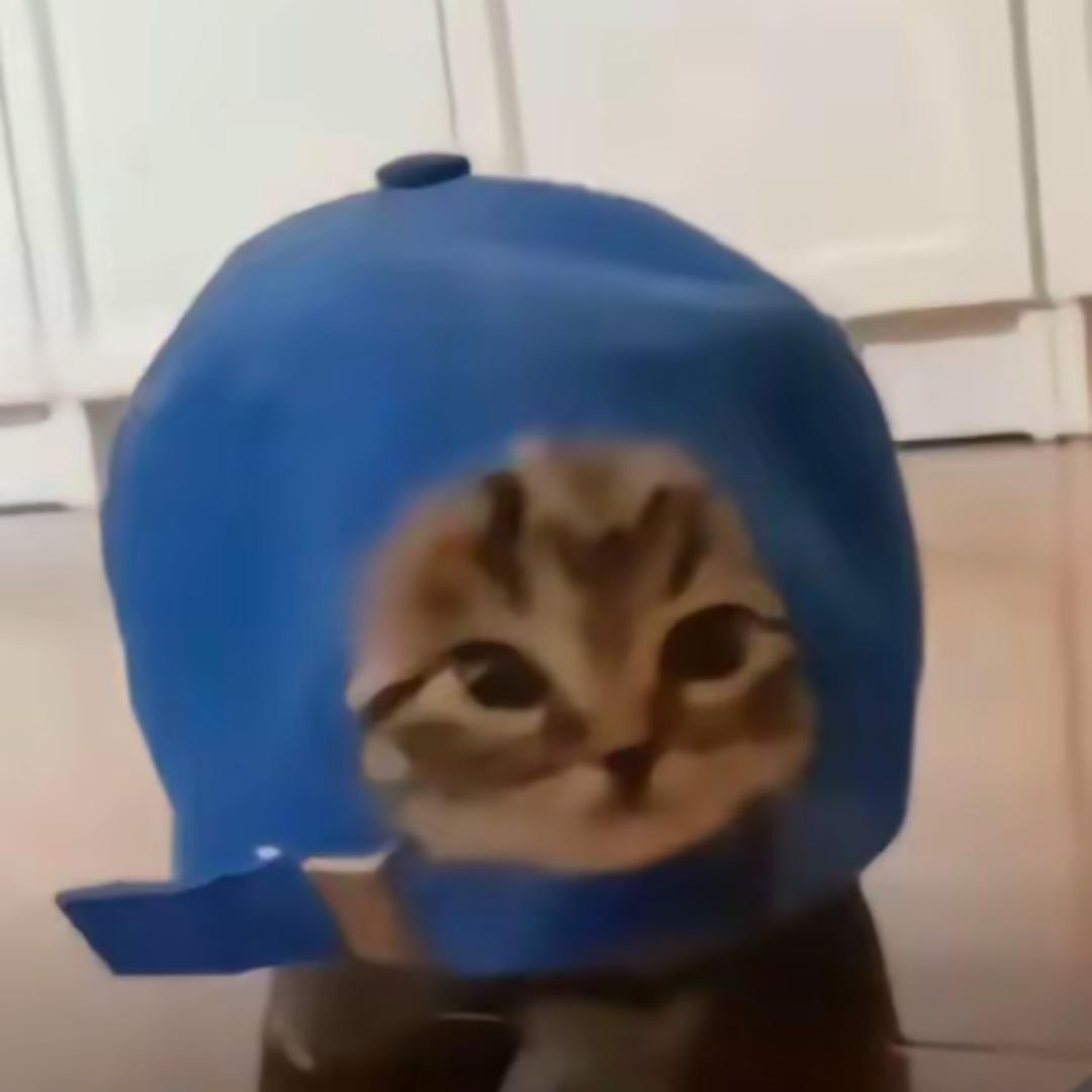 洗蛙蛙