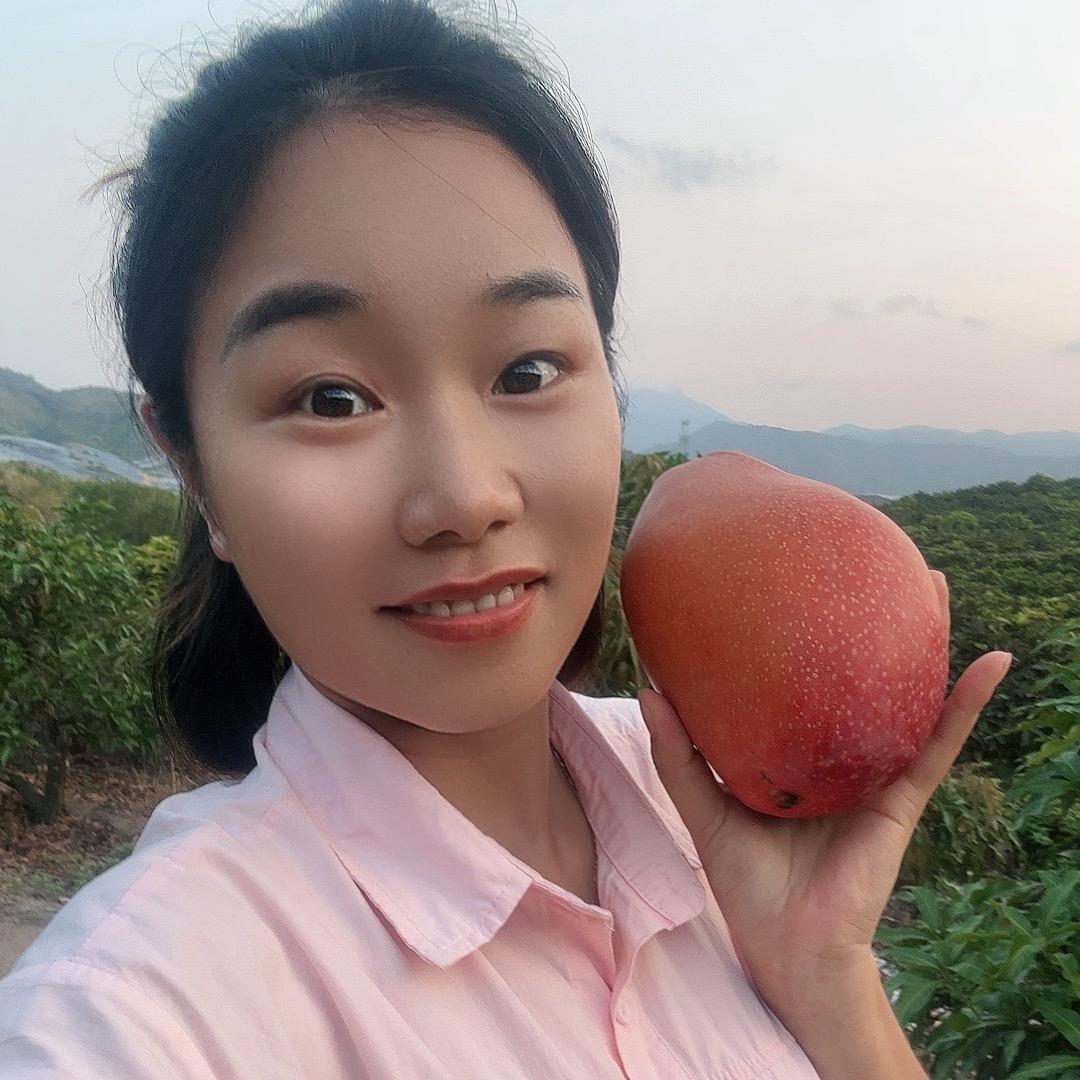 小芒主芒果供应链