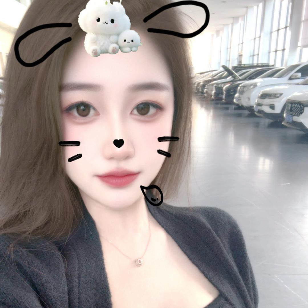 恒泰新车二手车以租代购@雅楠