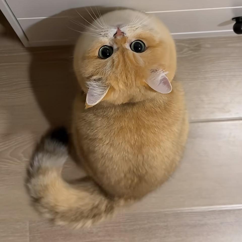 柒彩ぃ