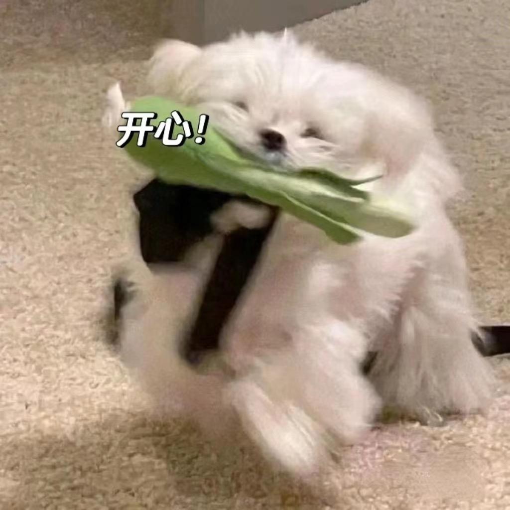 笨蛋xhx（流放之路2）