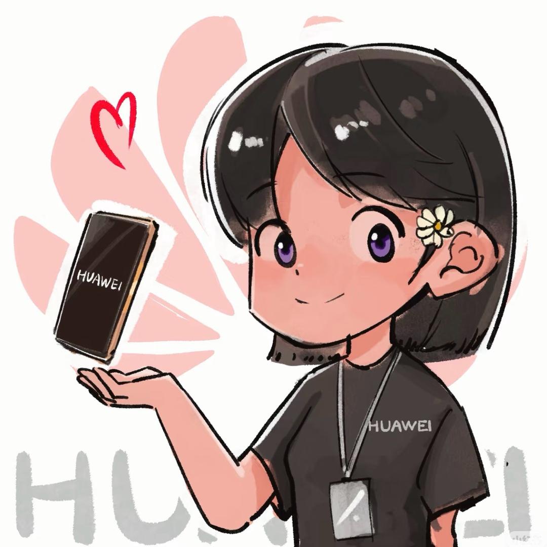 广南新车站华为店