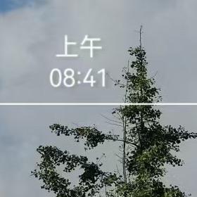 独山十二月