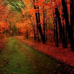 云南港鑫体验中心