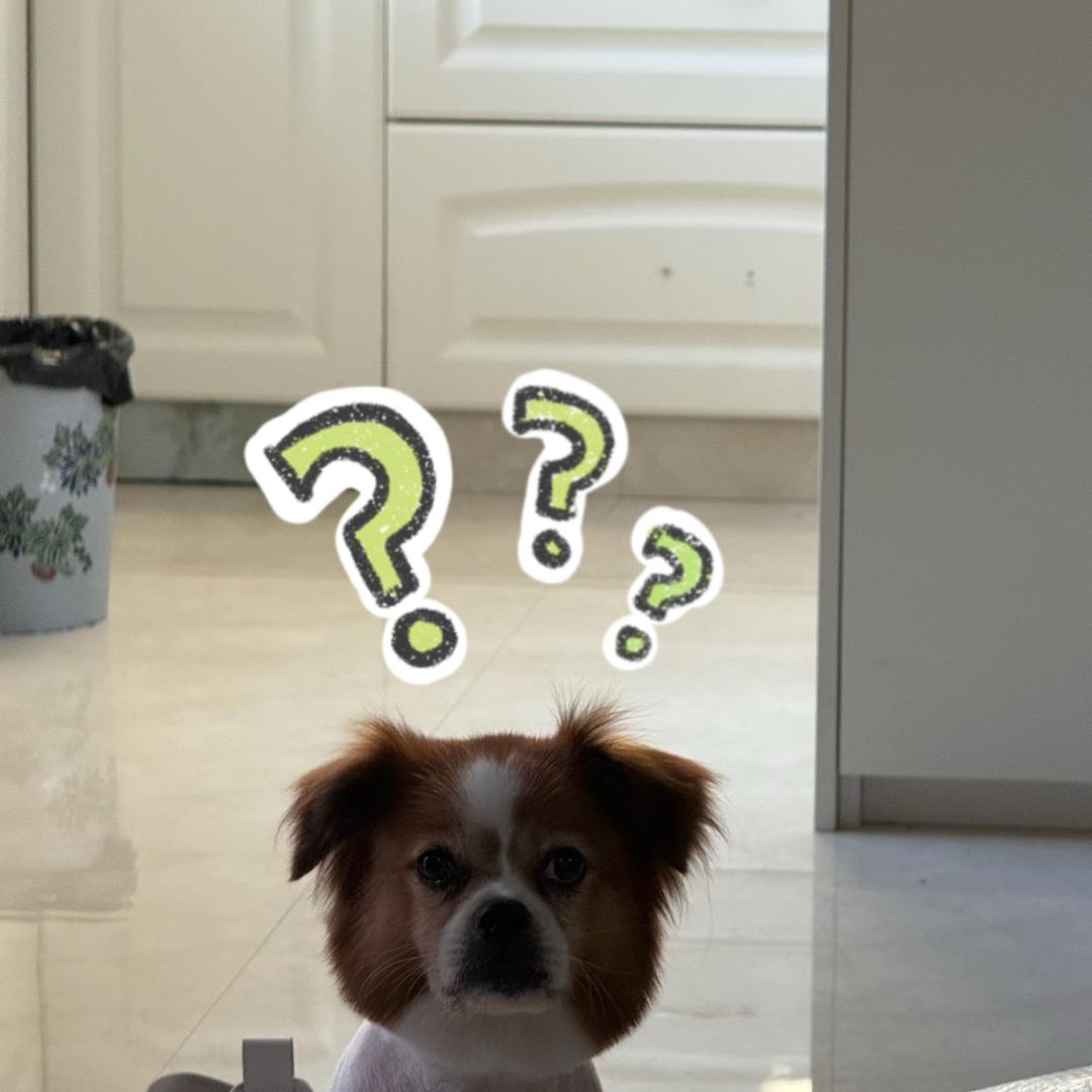 七了卡尺