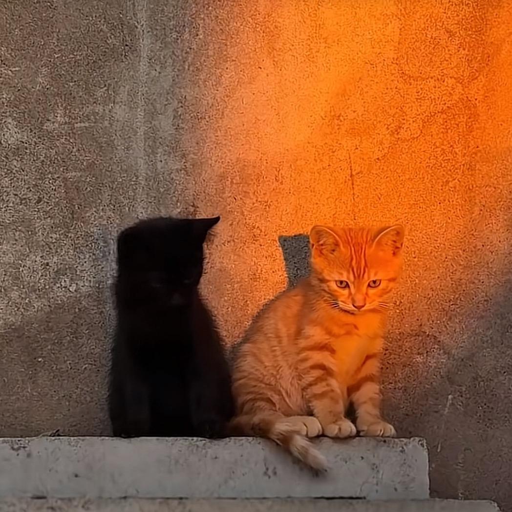 马可你在干什么