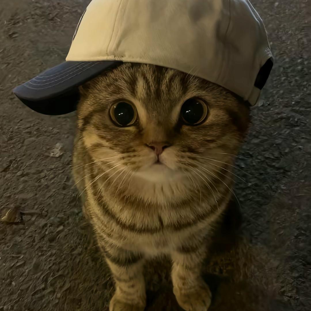 鸿楷