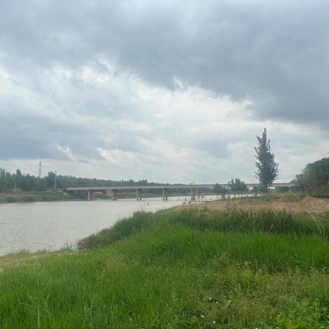 春花秋月夏杜鹃