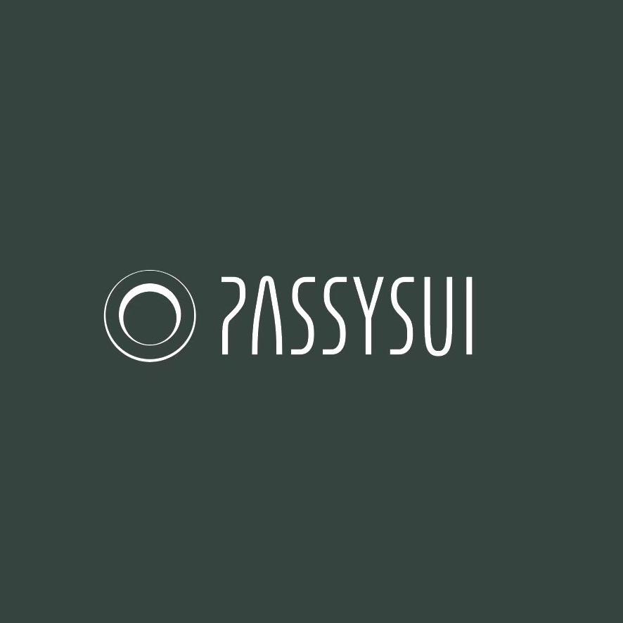 PASSYSUI