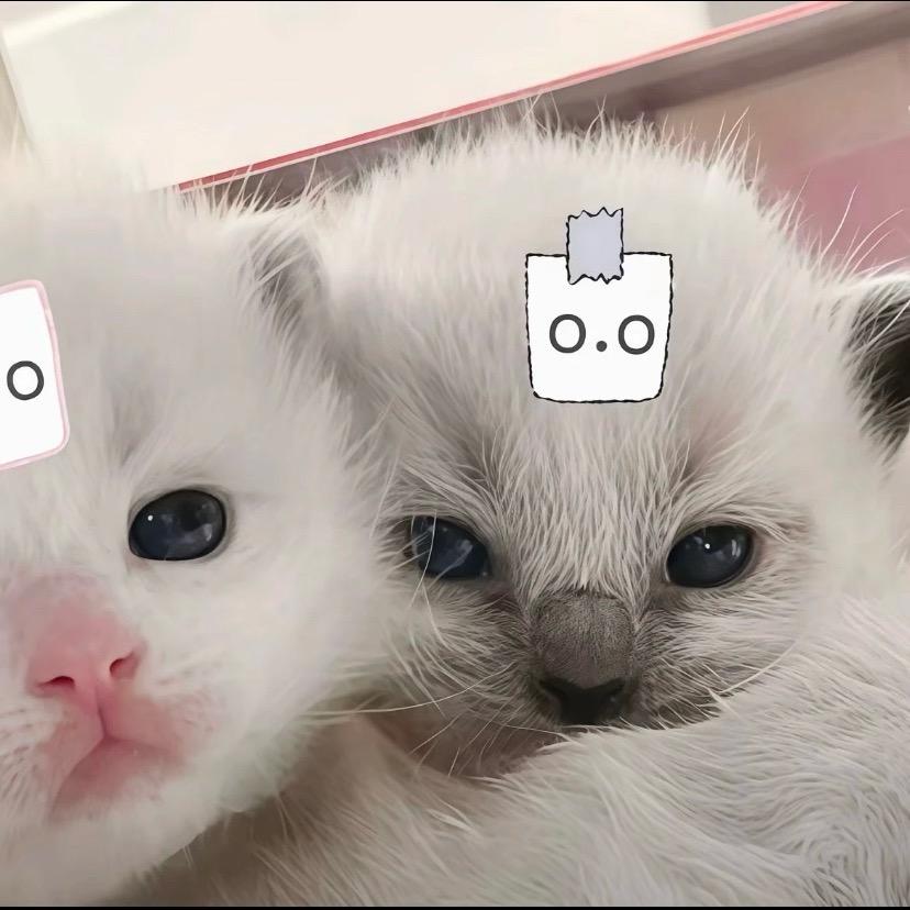 6➕B
