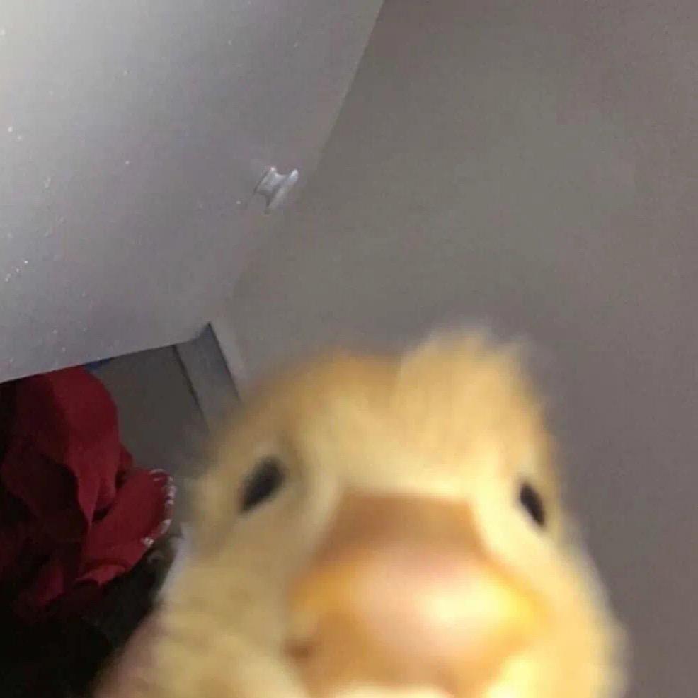 ᅟᅠ           ‍