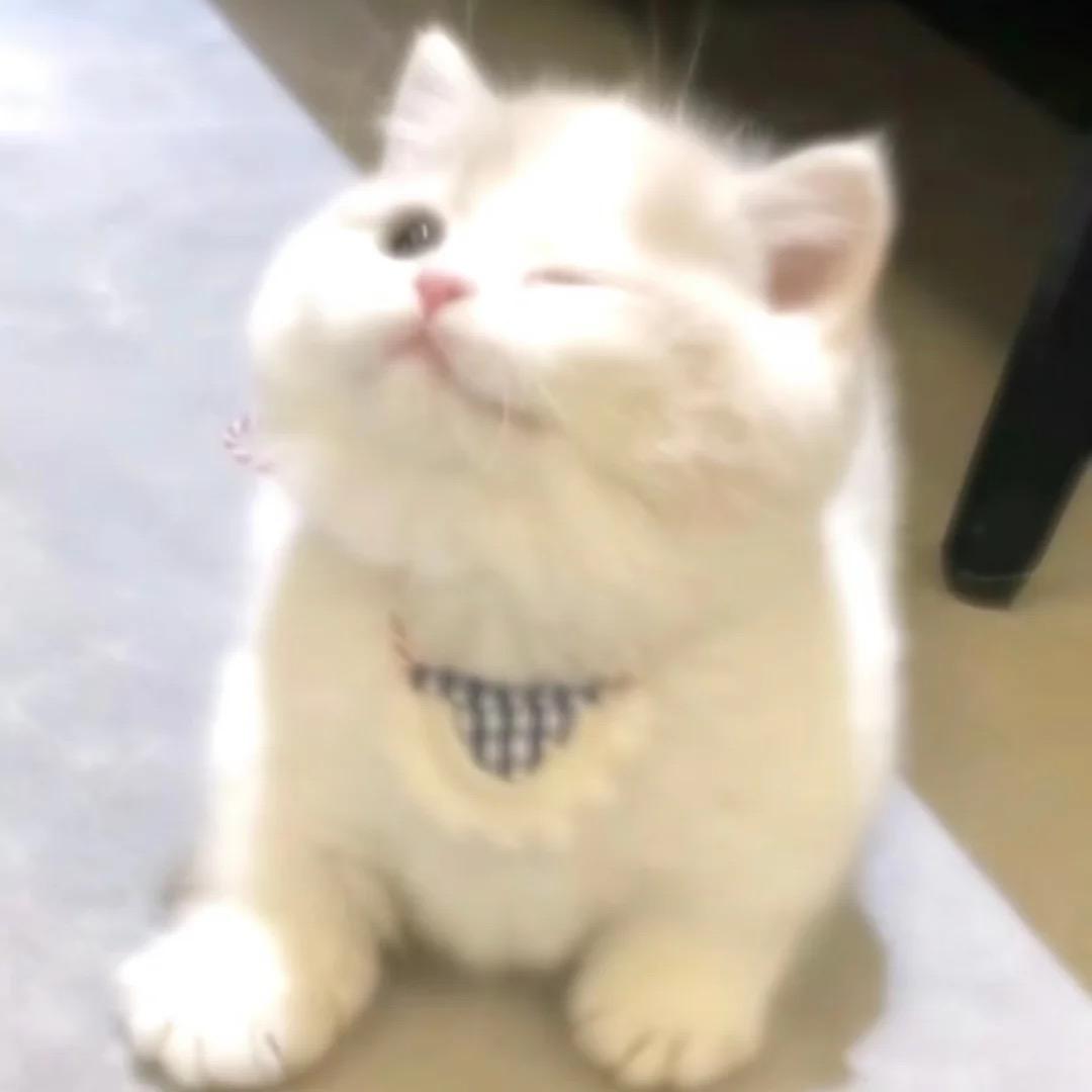 睡个懒觉⁸