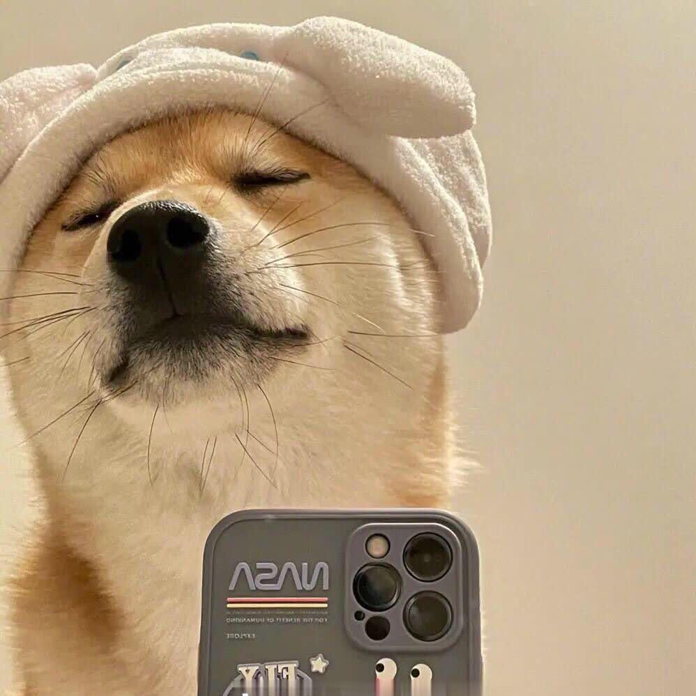 🌈北城糖少