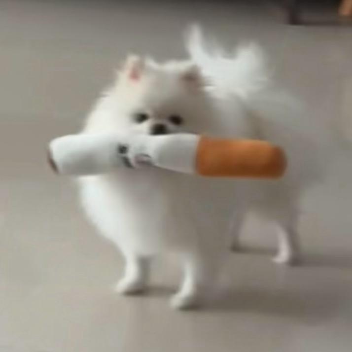 M.