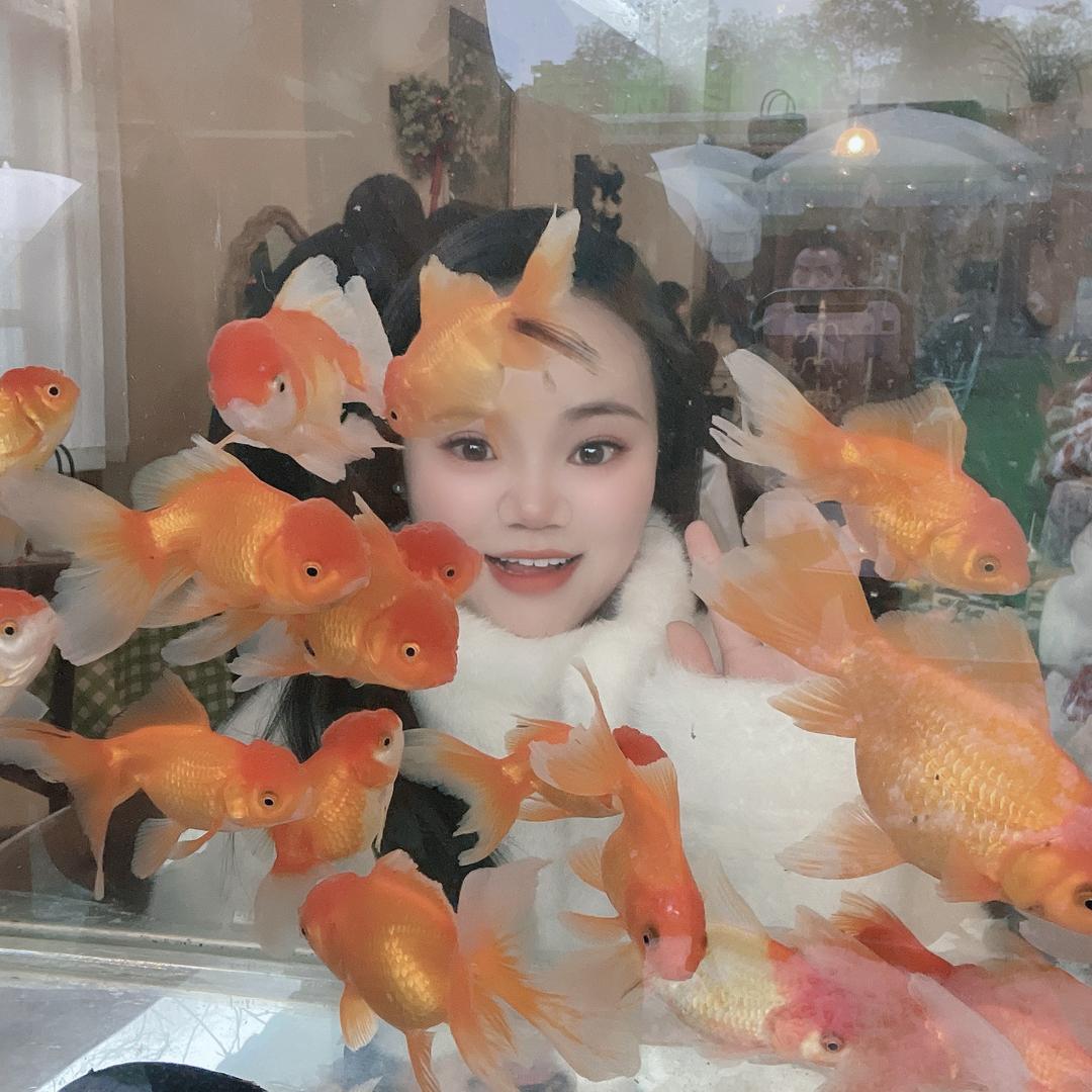 王王🐮