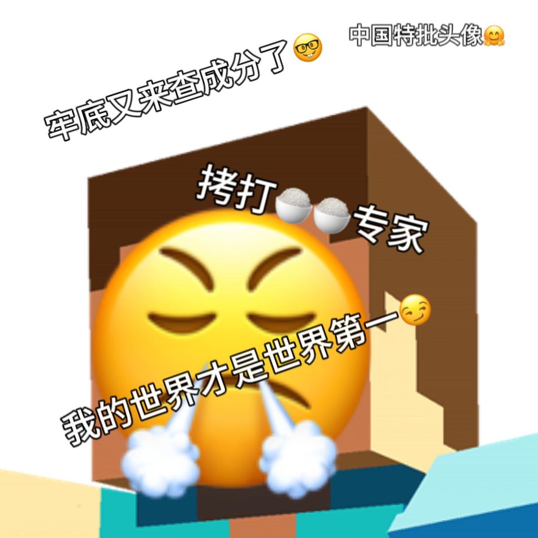 我的世界学长（反㊙️㊙️）