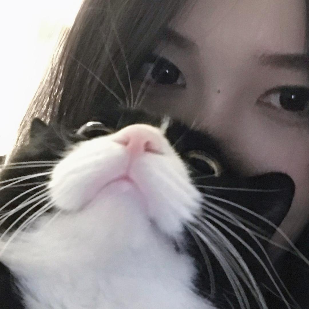 零元狗