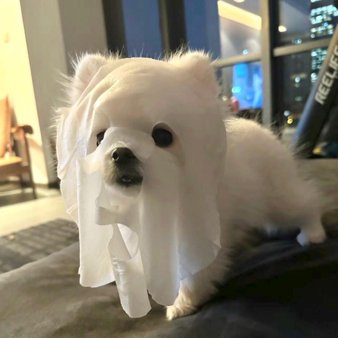 别惹我