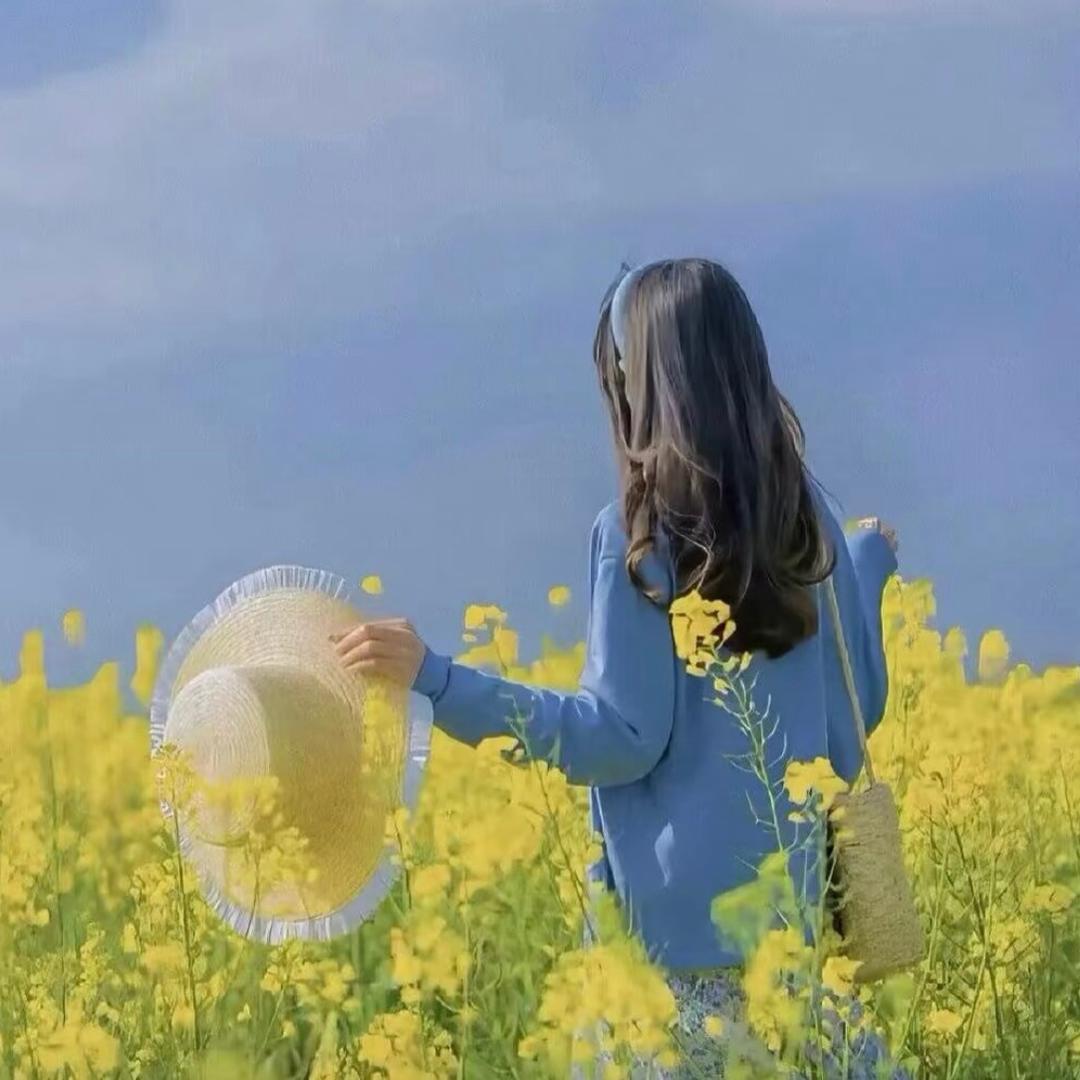 雅•美衣橱