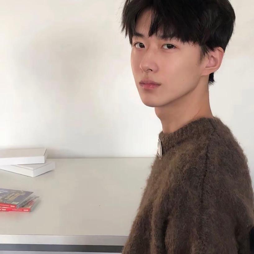 彩虹下面的常青树