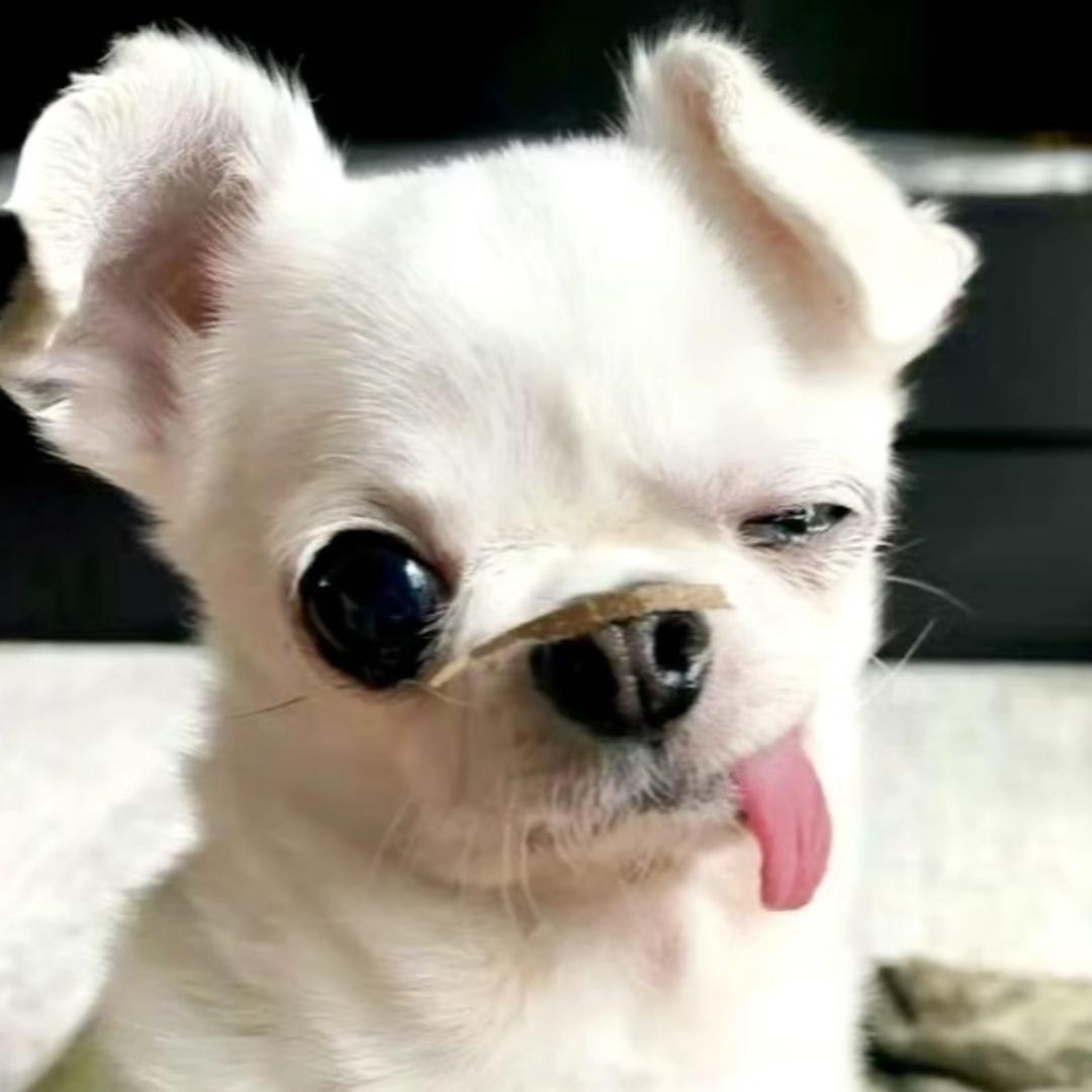 李也是汍⌯'ㅅ'⌯