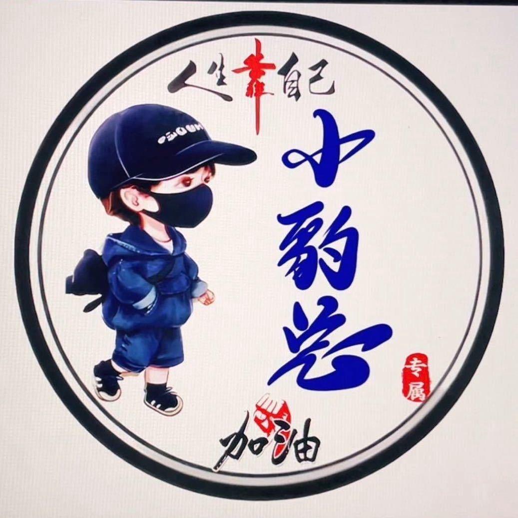 小豹总