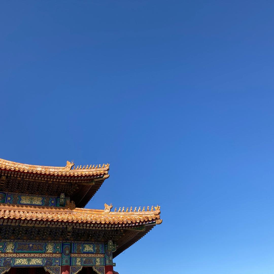 微镖局—子辰
