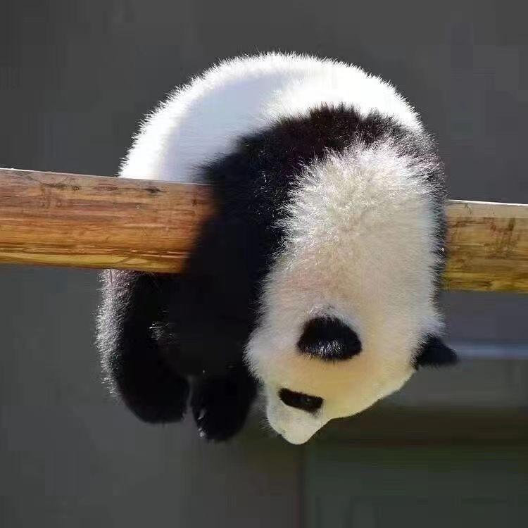 开心糖果