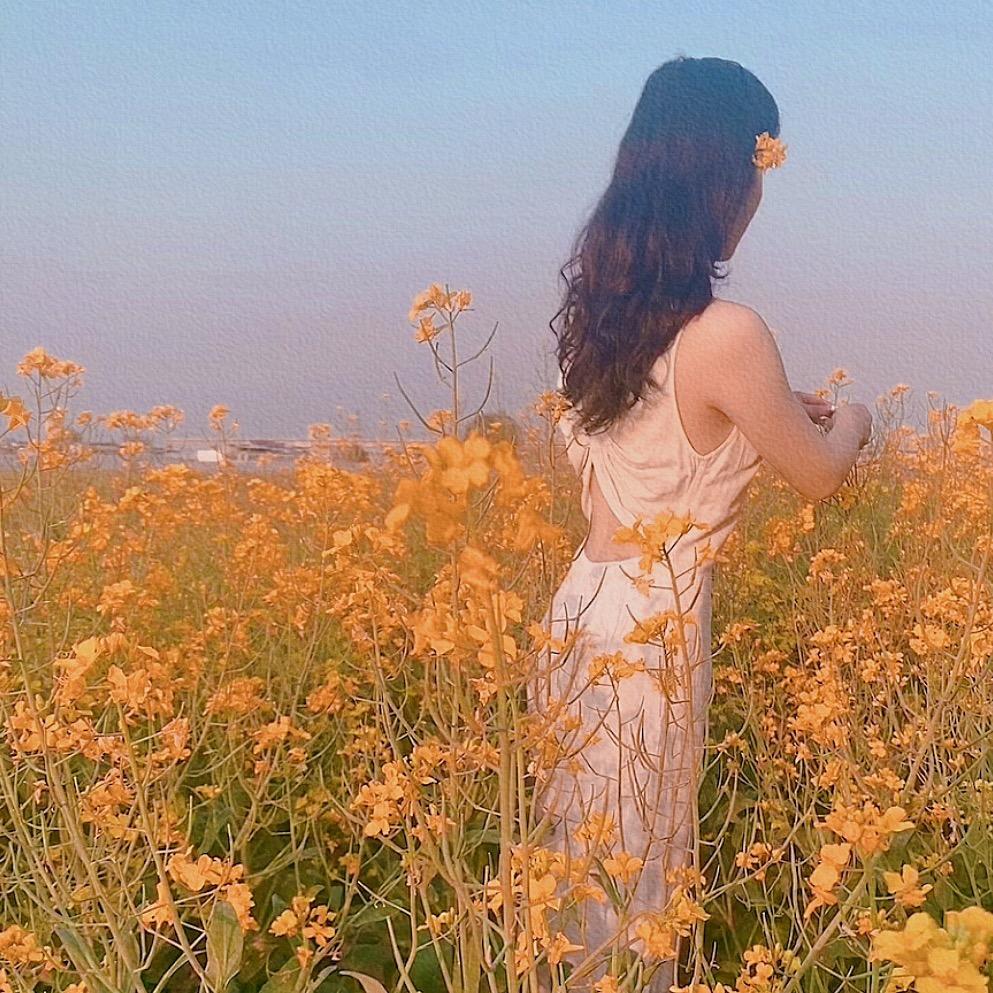 杨慧子🎙️