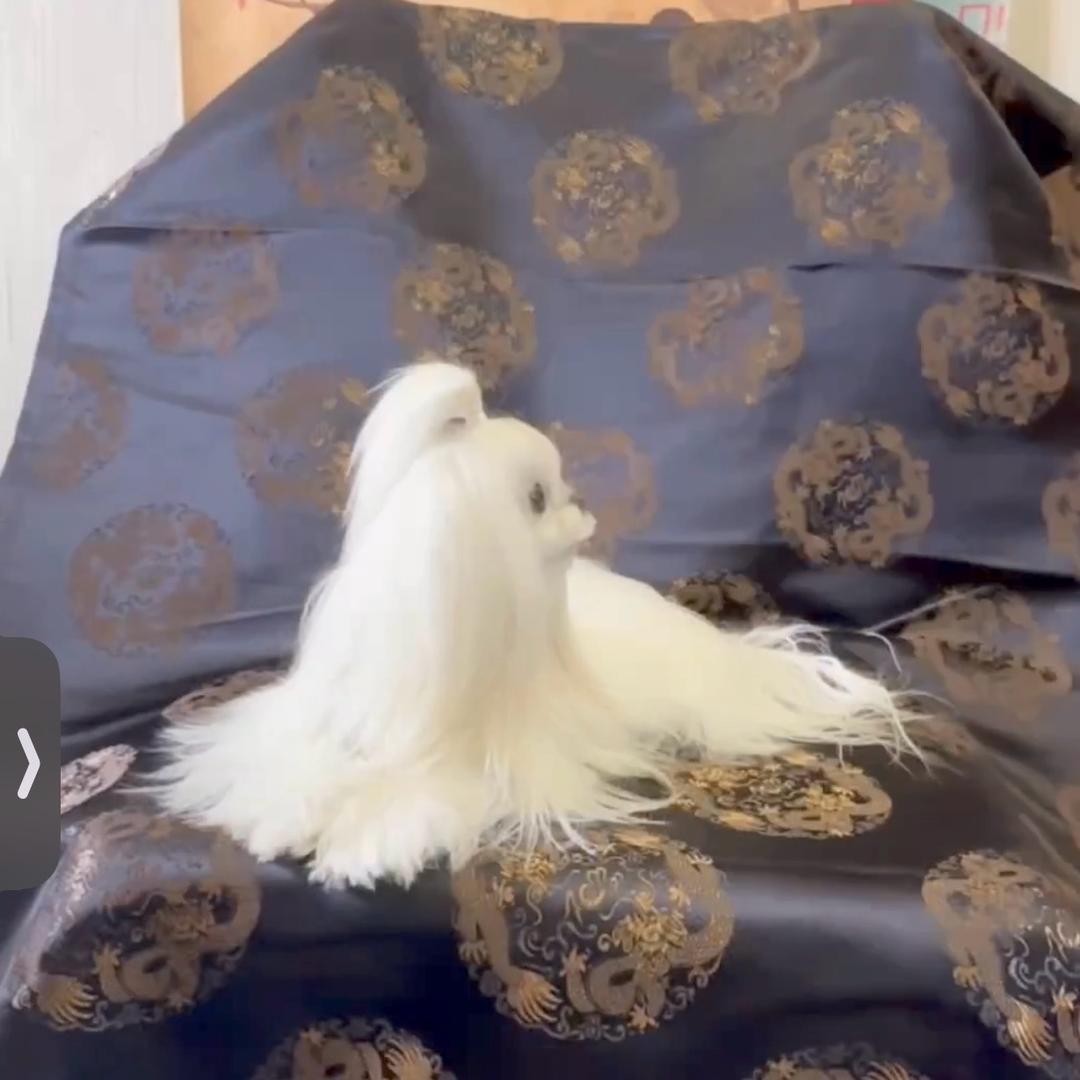 小胖宠物