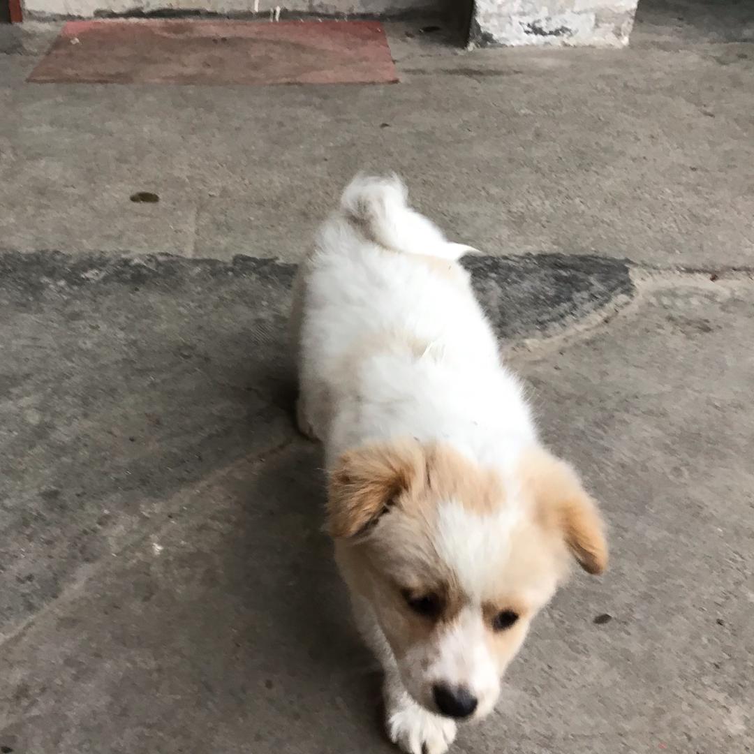 路灯下