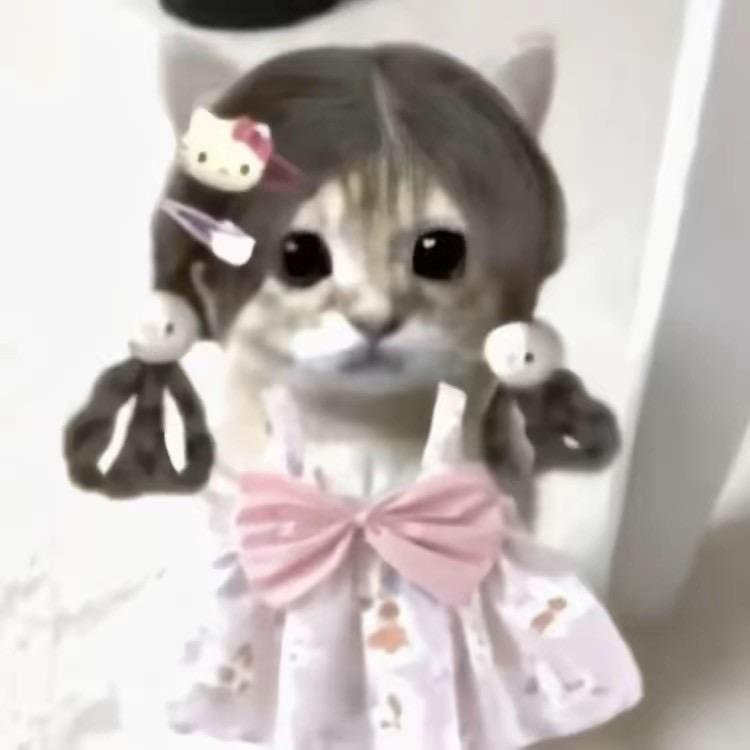 沁婕Jie