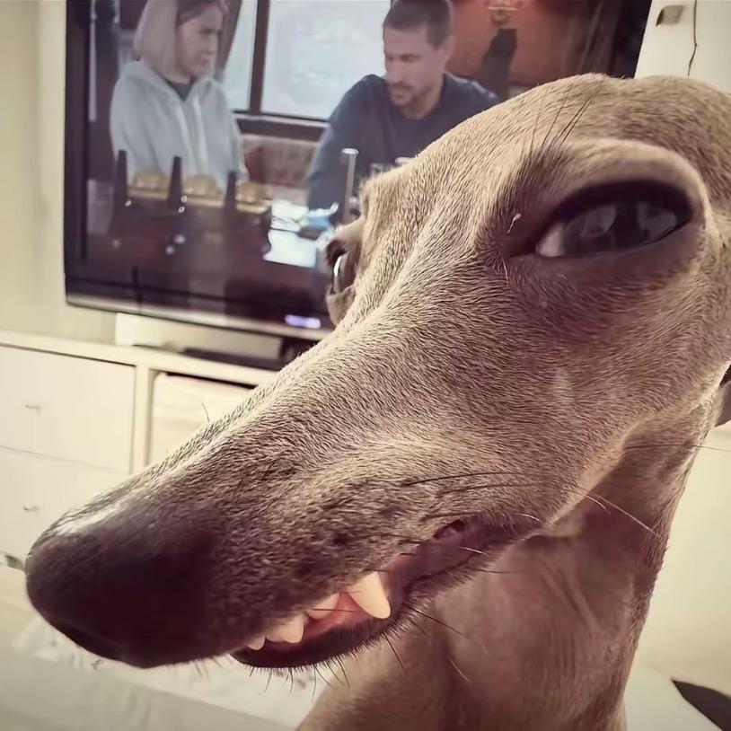 唉你真的好可爱